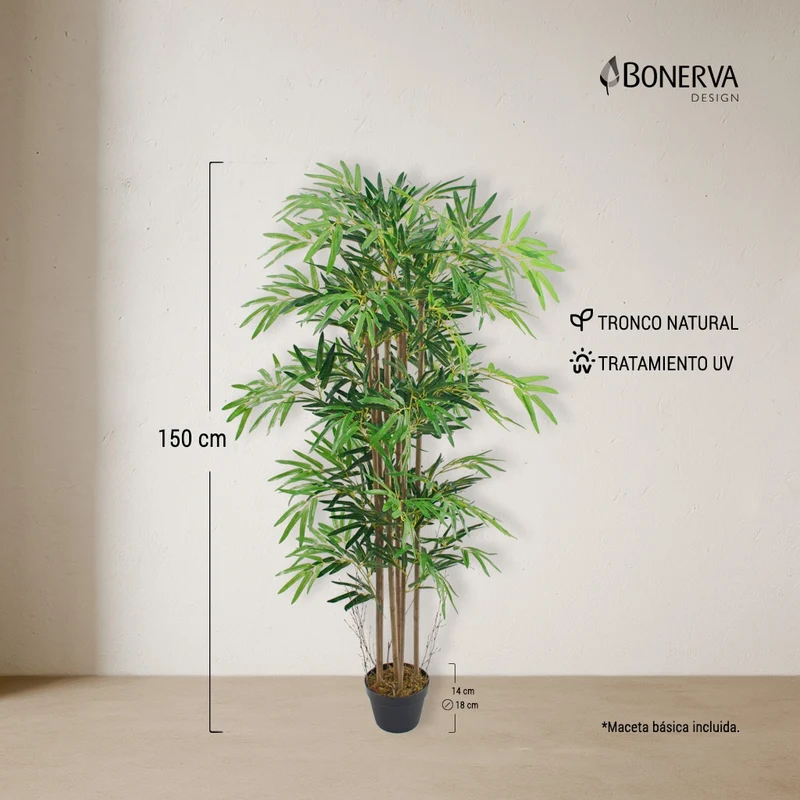 Bambú Nature UV 150