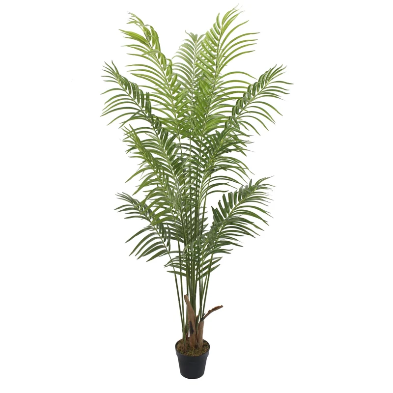 Palmera Deco 180