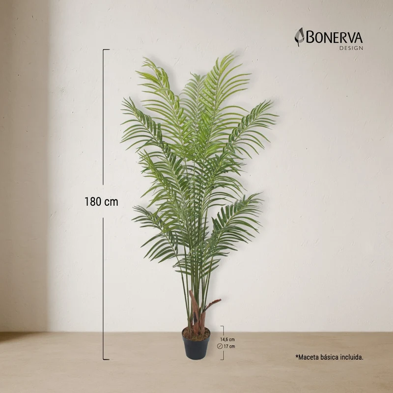 Palmera Deco 180