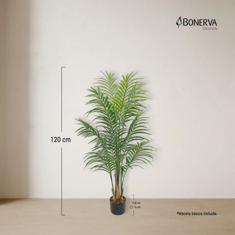 Palmera Deco 120