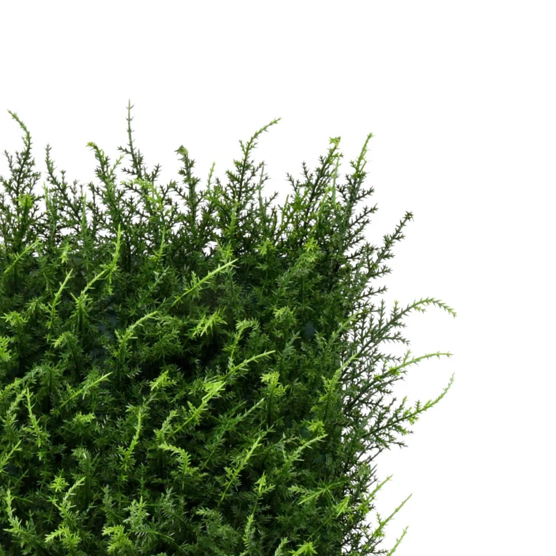 Bonerva | Jardín Vertical Halepensis Pack 4 Piezas 50x50cm