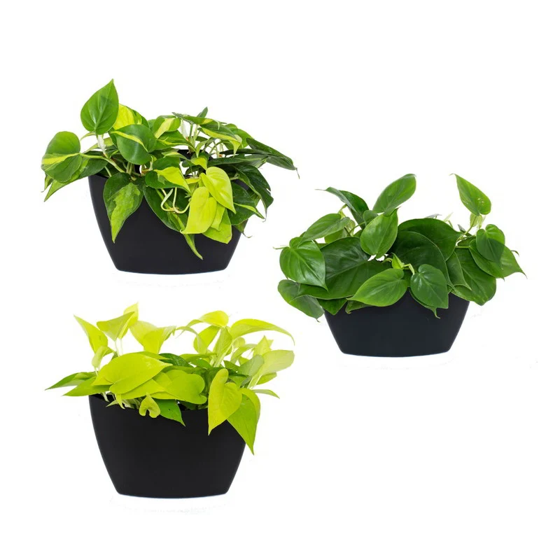 Jardín Vertical Modular Citysens Con Riego Automático De 3 Maceteros – Negro, Polipropileno 100% Reciclado