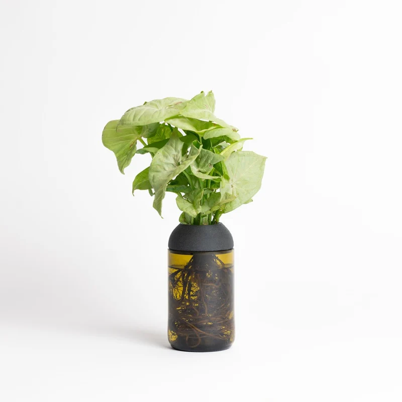 Macetero Transparente Citysens Con Soporte De Ébano – Ámbar, Vidrio Reutilizado Y Biofilamento Con Madera Impreso En 3d