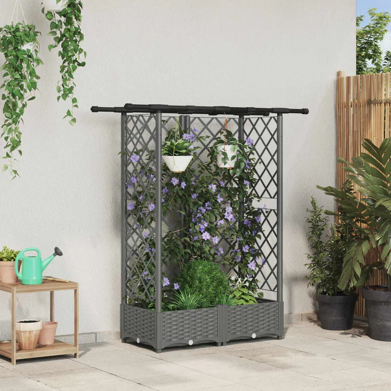 Cama Elevada Con Trellis Y Techo Gris Claro 124 X 40 X 121 Cm