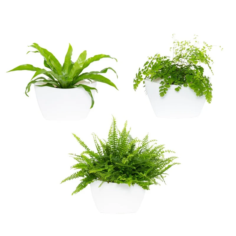 Jardín Vertical Modular Citysens Con Riego Automático De 3 Maceteros – Blanco, Polipropileno 100% Reciclado