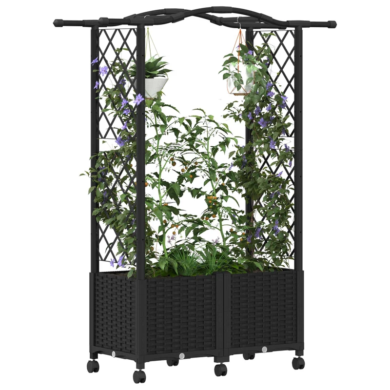 Cama Elevada Con Trellis Y Techo Negro 125 X 40 X 144 Cm Pp