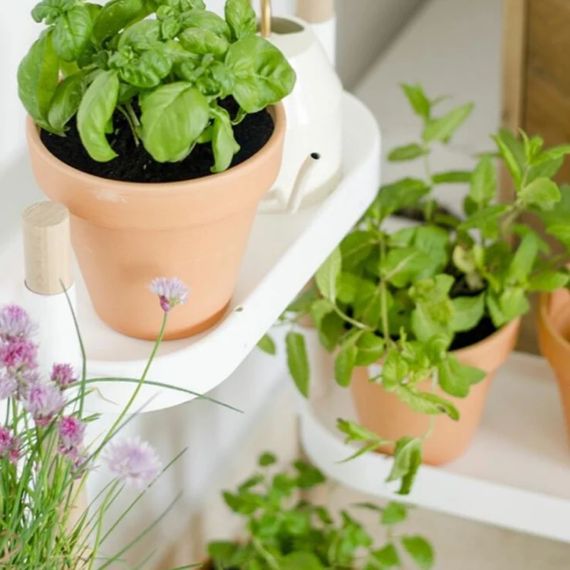 Soporte Modular Citysens De 4 Bandejas Y Semillas Aromáticas – Blanco, Polipropileno 100% Reciclado Y Madera Ecológica