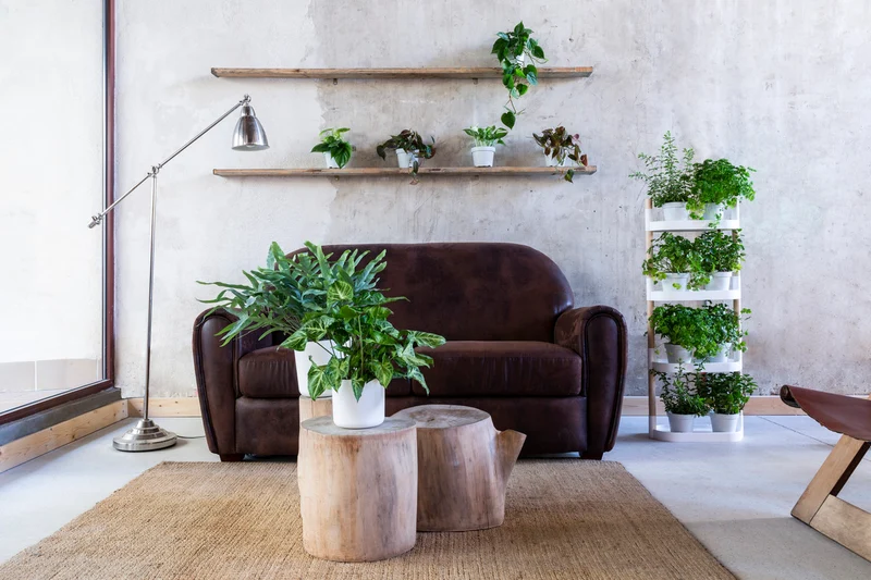 Soporte Modular Citysens De 4 Bandejas Y Semillas Aromáticas – Blanco, Polipropileno 100% Reciclado Y Madera Ecológica