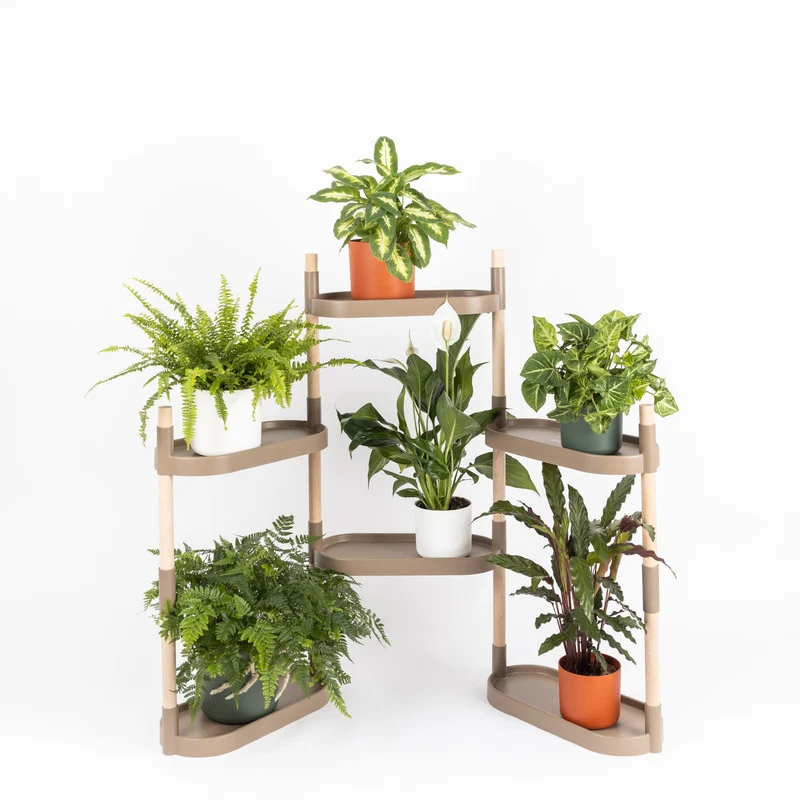 Soporte Modular Citysens De 6 Bandejas – Color Corteza De Pino, Polipropileno 100% Reciclado Y Madera Ecológica Pefc