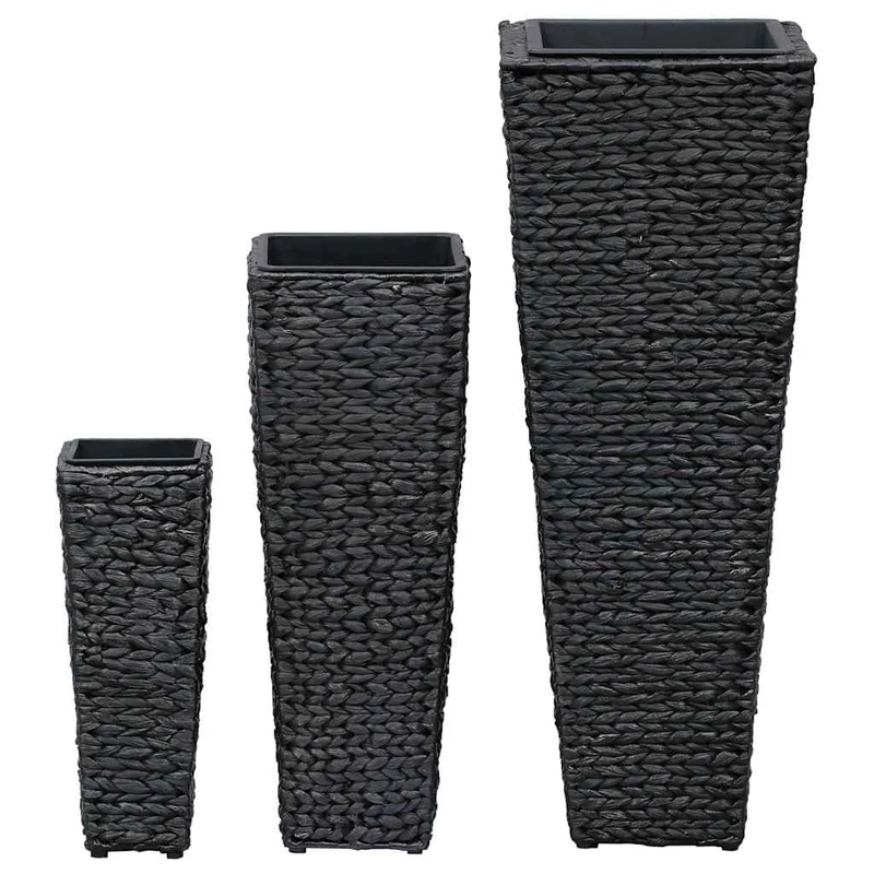 Conjunto De Arriates 3 Piezas Jacinto De Agua Negro