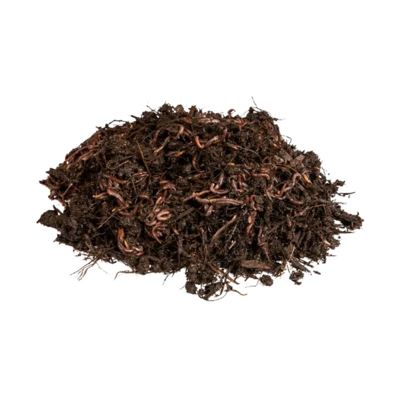 Lombrices rojas californianas para vermicompost Multihuerto 150 ud