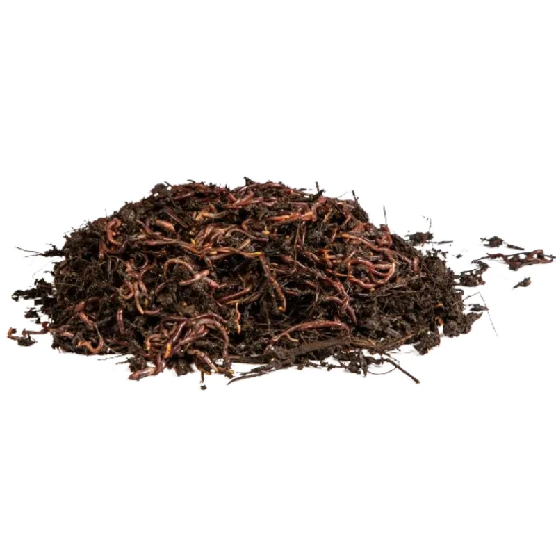 Lombrices rojas californianas para vermicompost Multihuerto 150 ud
