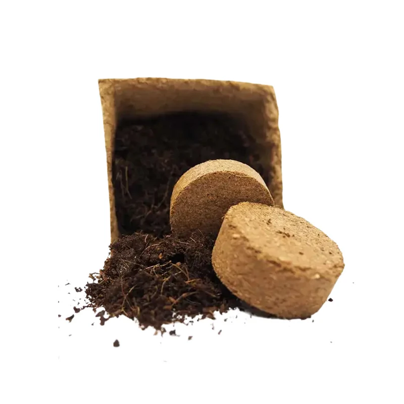 Kit De Cultivo De Lechuga Trocadero