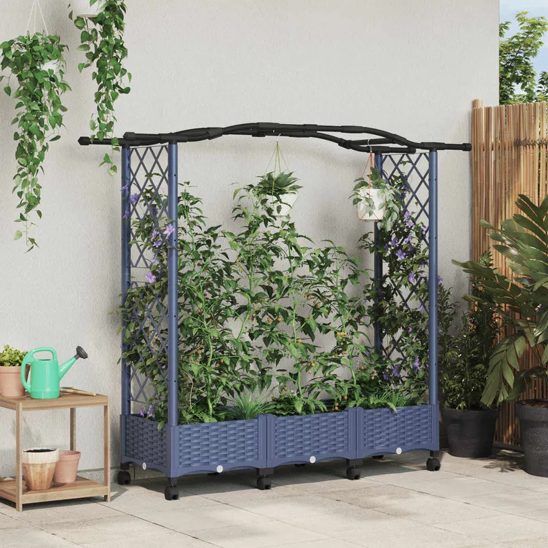 Cama Elevada Con Trellis Y Techo Gris 169 X 40 X 129 Cm Pp