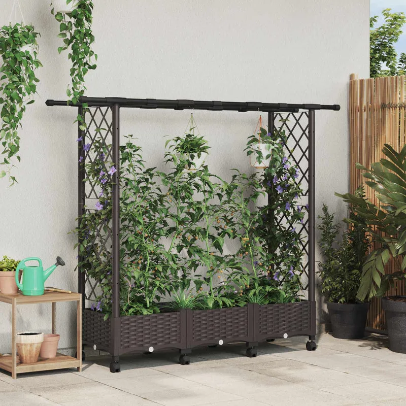 Cama Elevada Con Trellis Y Techo Marrón 164 X 40 X 127 Cm Pp