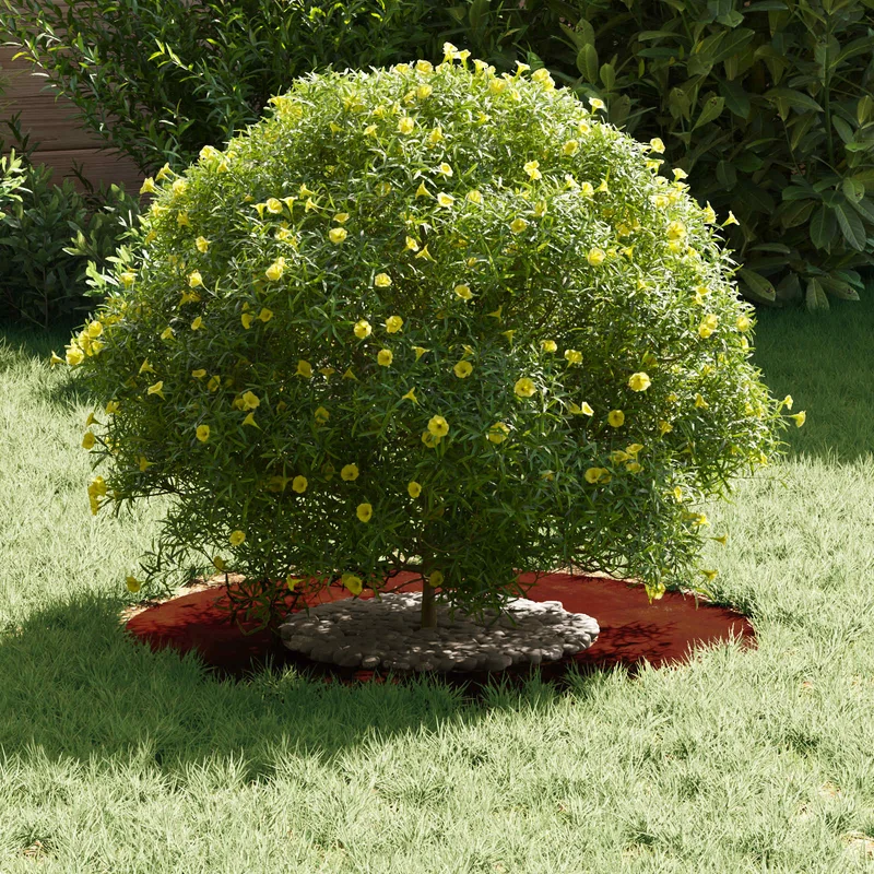 Adecuado Para Anillo De Árbol Plano Oxidado Ø30/60 Cm