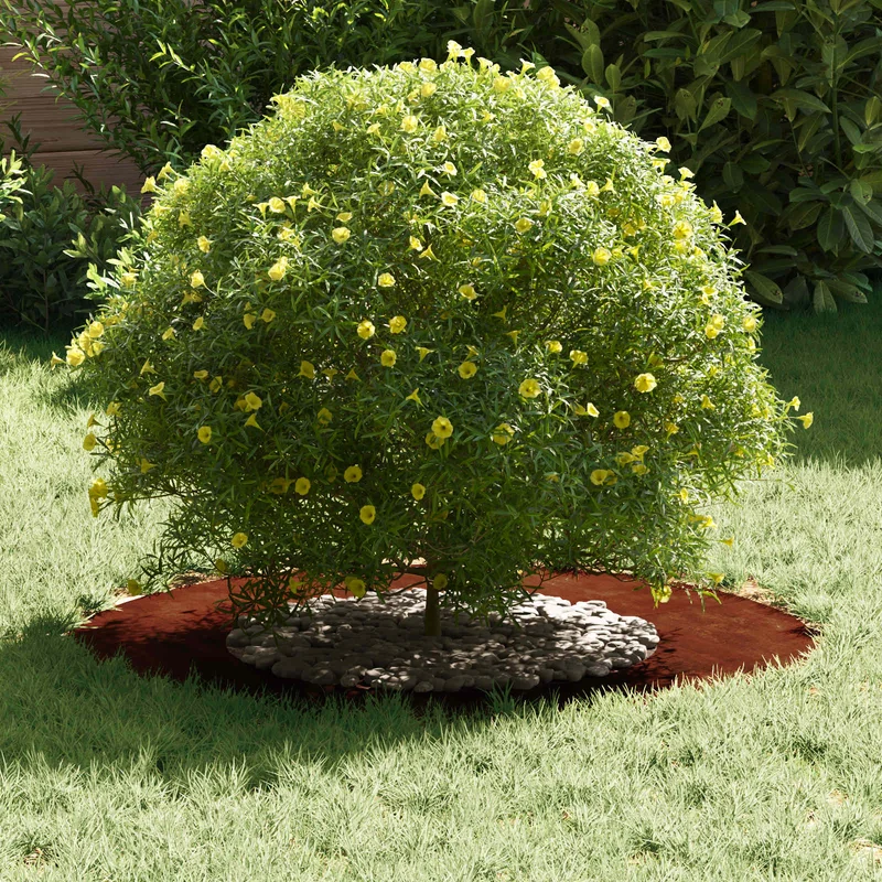 Adecuado Para Anillo De Árbol Plano Oxidado Ø40/70 Cm
