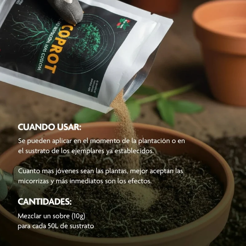 Mycoprot Prot-eco – micorrizas ecológicas para fortalecer raíces y regenerar el suelo