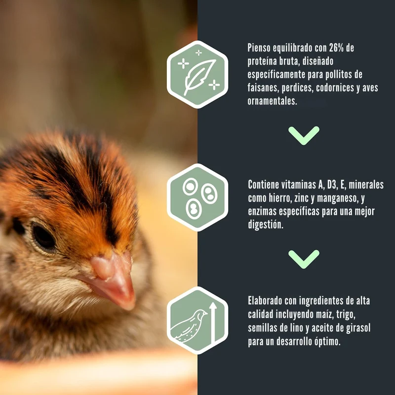 Pienso Para Pollitos: Faisanes, Perdices, Codornices - Show 1 - Alimento Equilibrado De Arranque - 20KG
