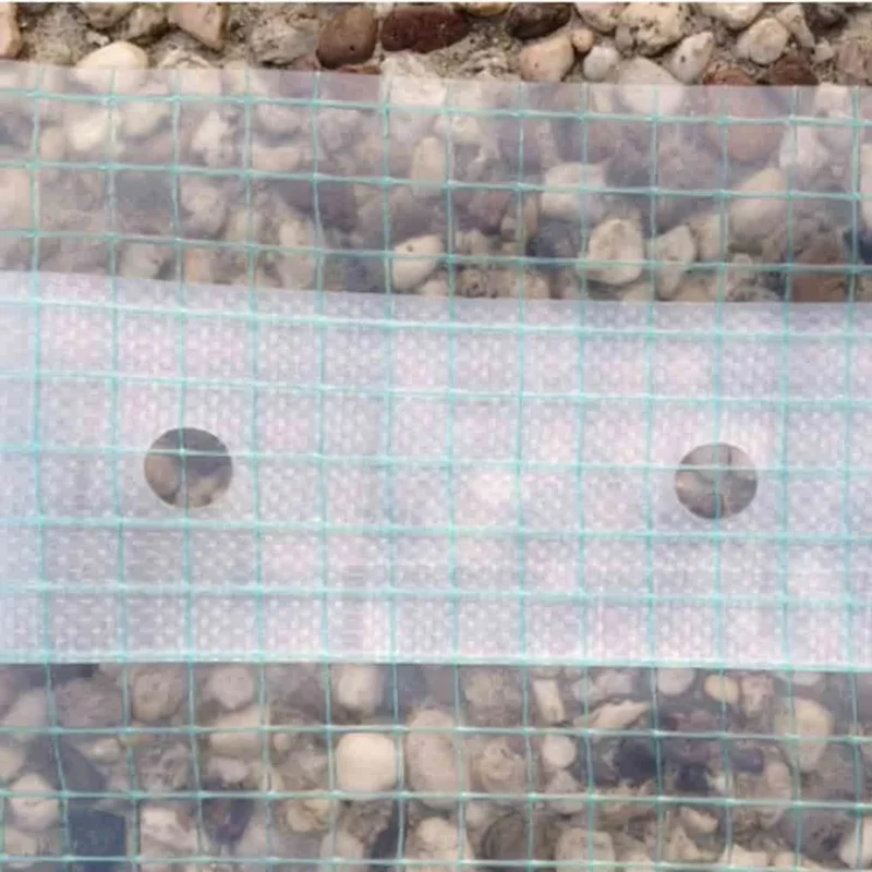Film Reforzado Para Invernadero Con Borde Para Clavos, 1,5 M X 26 M, Resistente Y Protección Uv