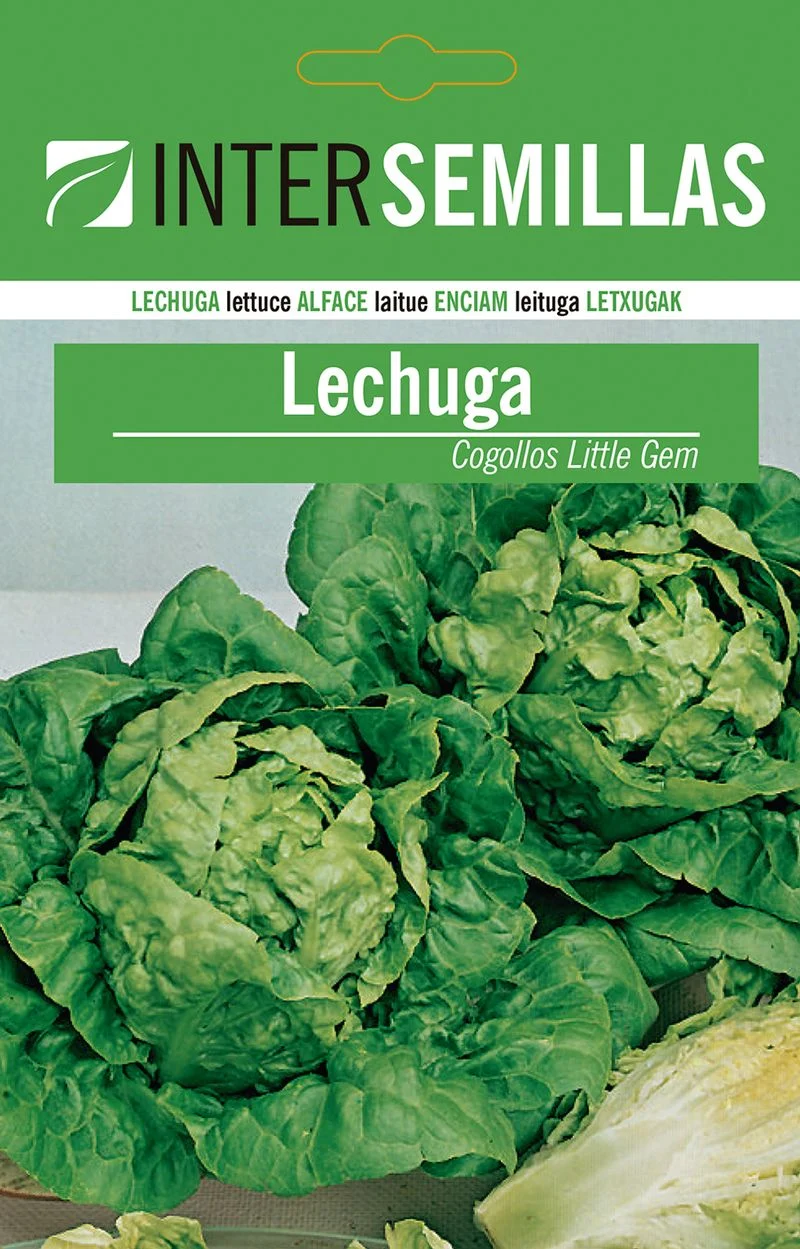 Sobre De Semillas De Lechuga Little Gem