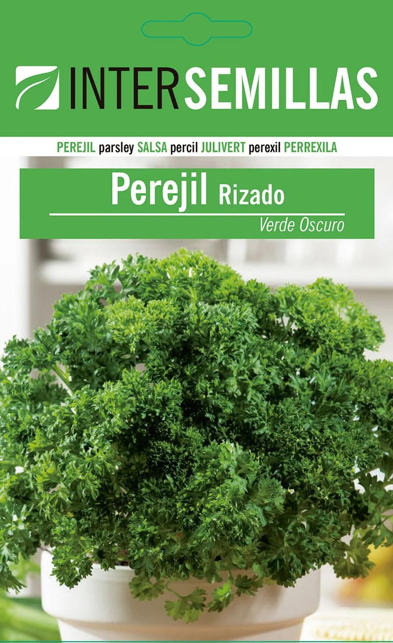 Sobre De Semillas De Perejil Rizado