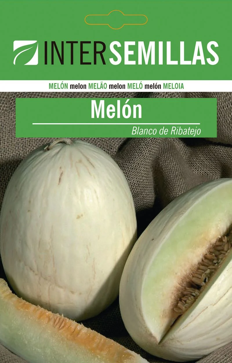 Sobre De Semillas Melon Blanco De Ribatejo