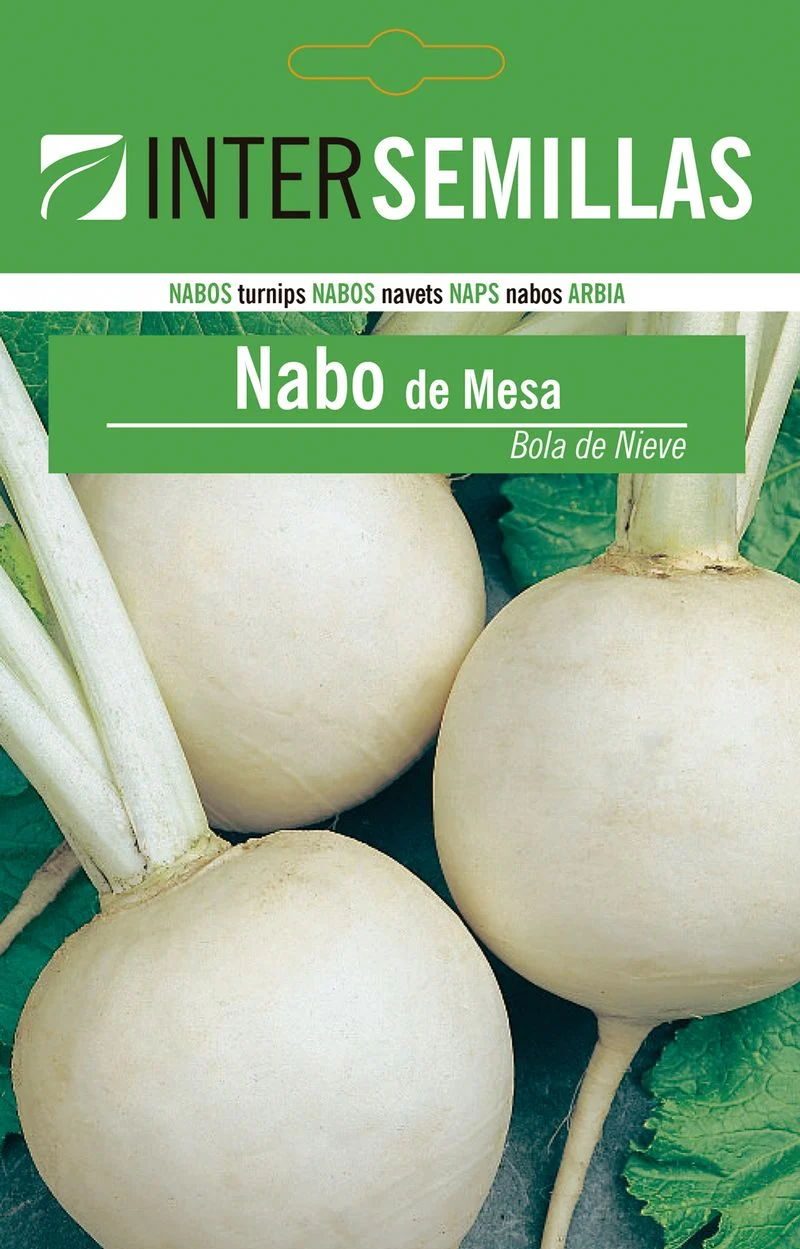 Sobre De Semillas De Nabo De Mesa