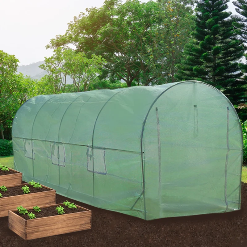 Invernadero Politúnel Con Estantería Galvanizada De Jardín Carpa De Cultivo 25mm 6m X 3m