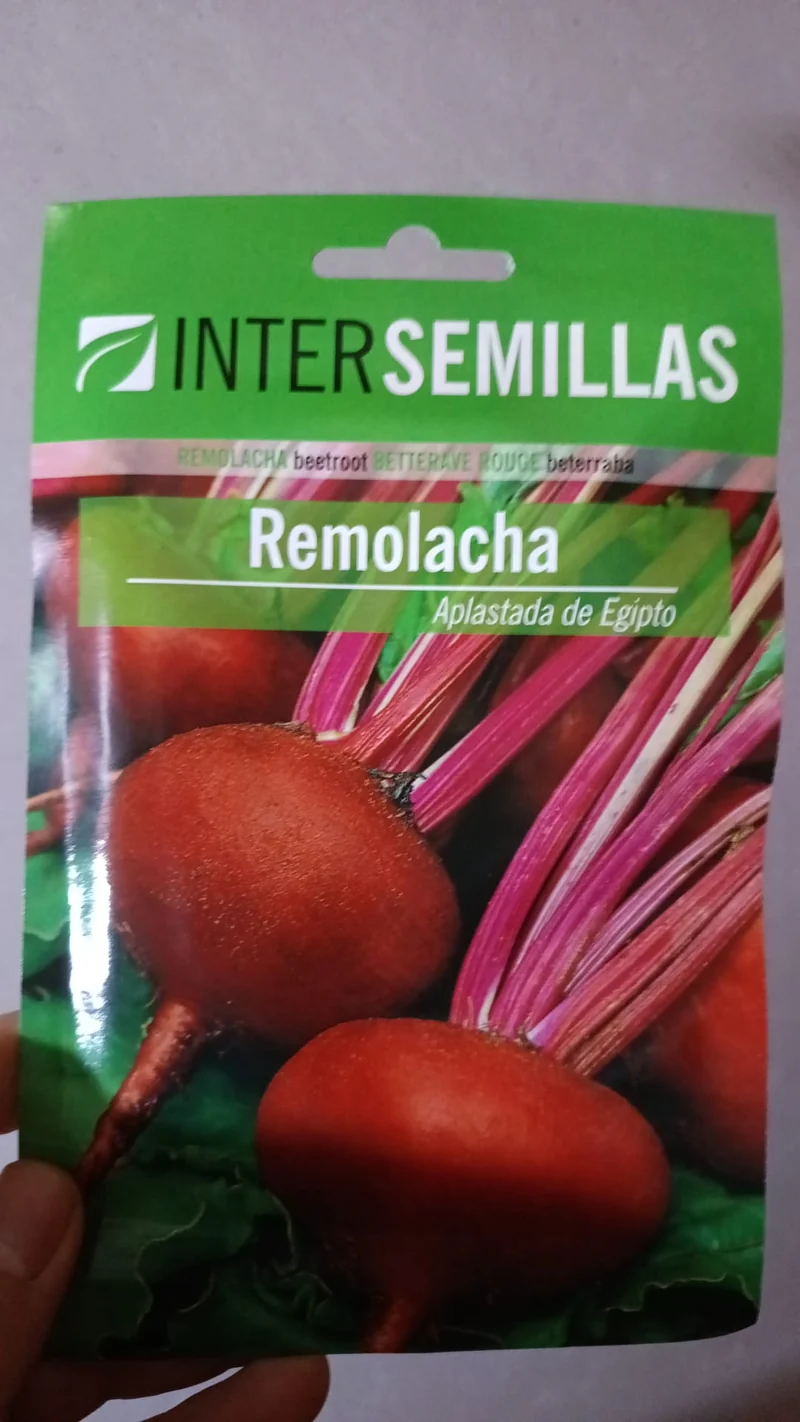 Sobre De Semillas De Remolacha Aplastada De Egipto
