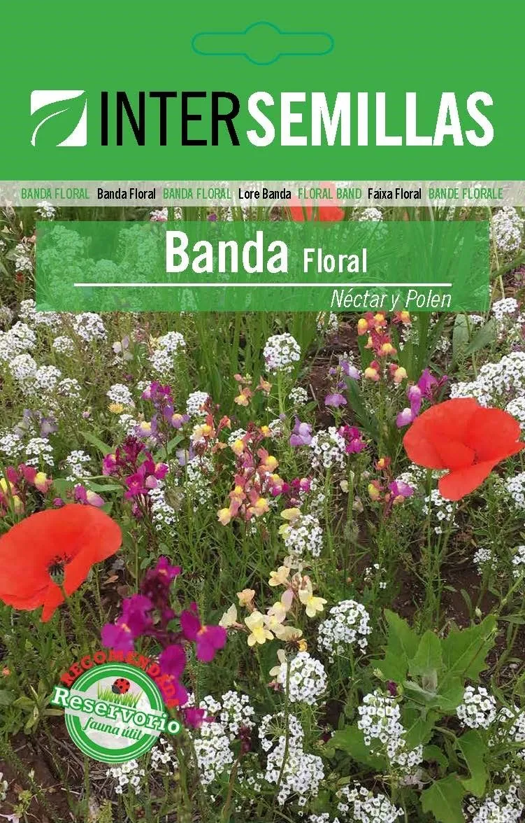 Banda Floral Nectar Y Polen Sobre De Semillas