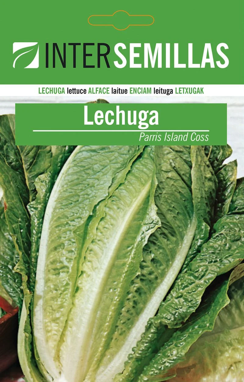 Sobre De Semillas De Lechuga Parris Island Coss