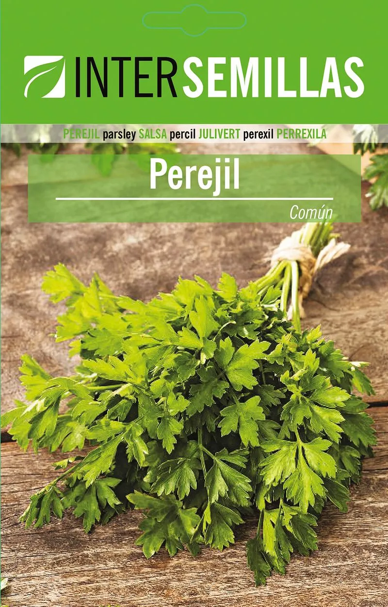 Sobre De Semillas De Perejil Comun