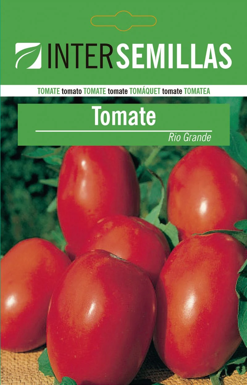 Semillas De Tomate Rio Grande