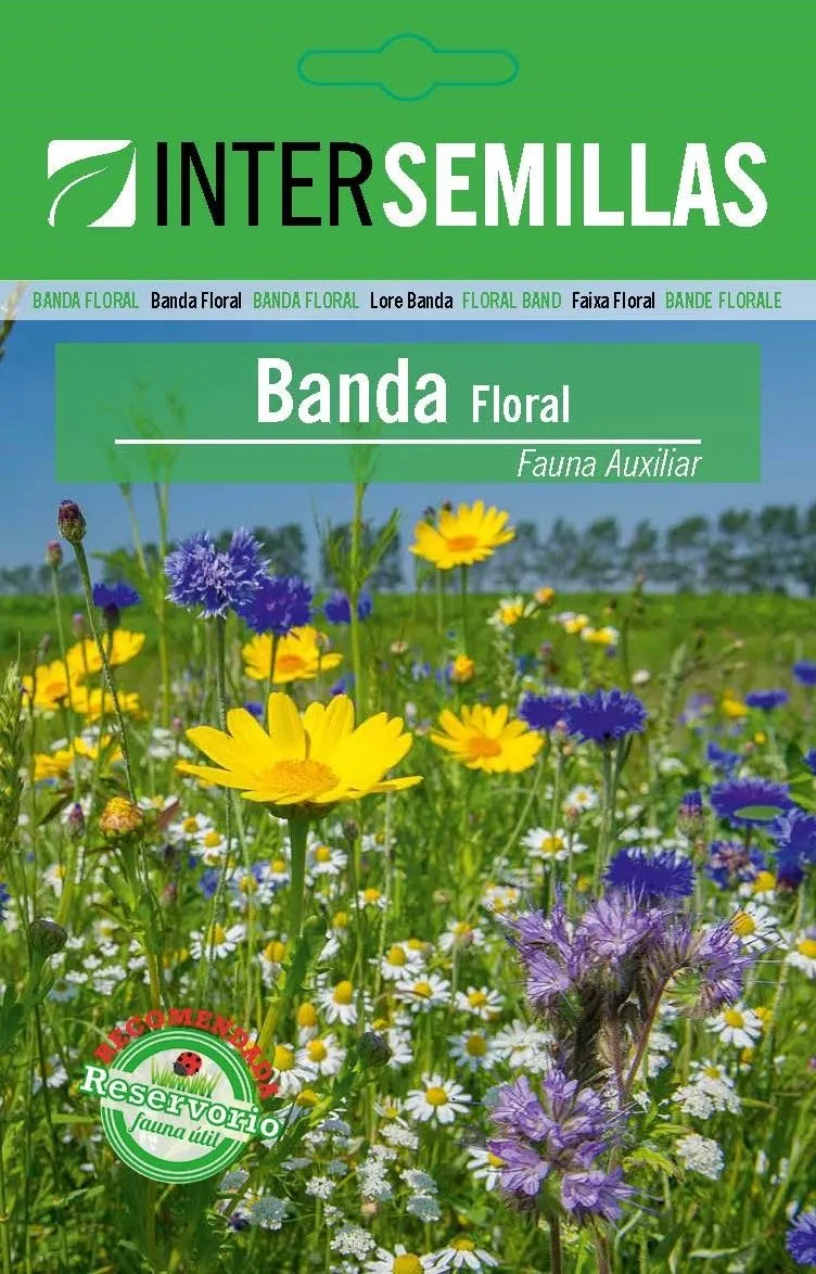 Banda Floral Fauna Auxiliar Sobre De Semillas