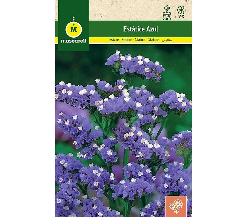 Semillas Estatice Sinuata Azul