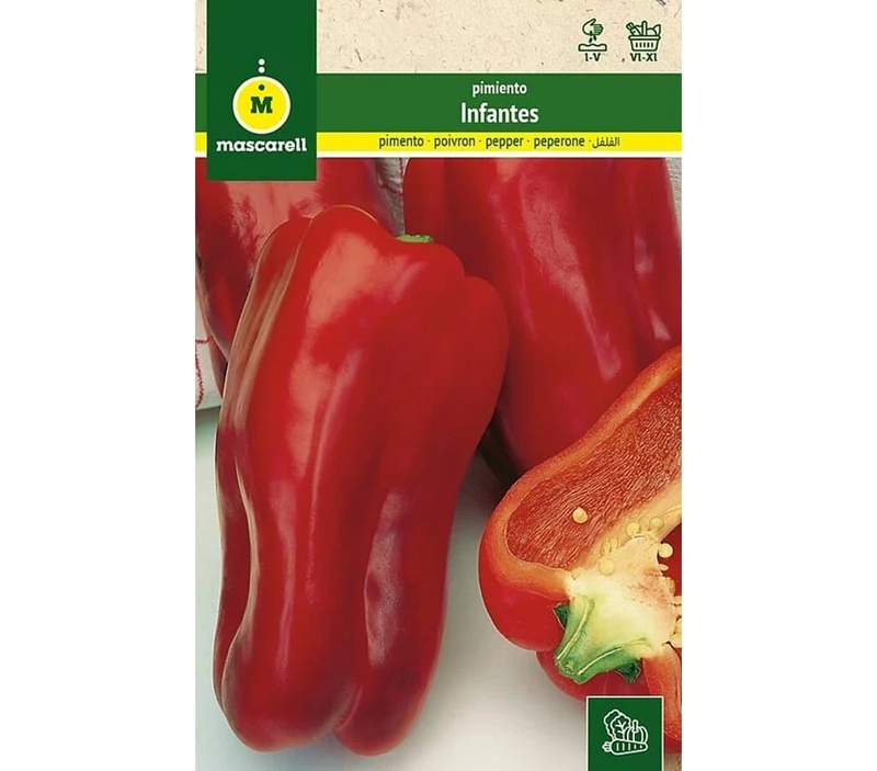 Semillas Pimiento Manchego (infantes)