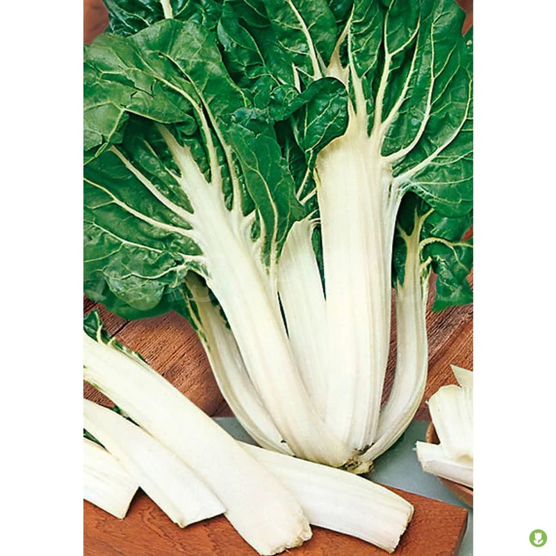 Semillas Acelga Verde Penca Blanca Ancha