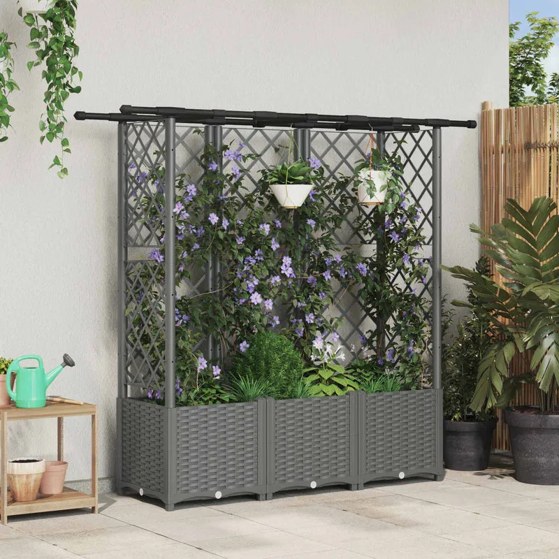 Cama Elevada Con Trellis Y Techo Gris Claro 163,5 X 40 X 136 Cm