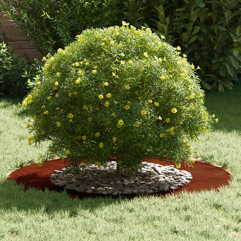 Adecuado Para Anillo De Árbol Plano Oxidado Ø50/80 Cm