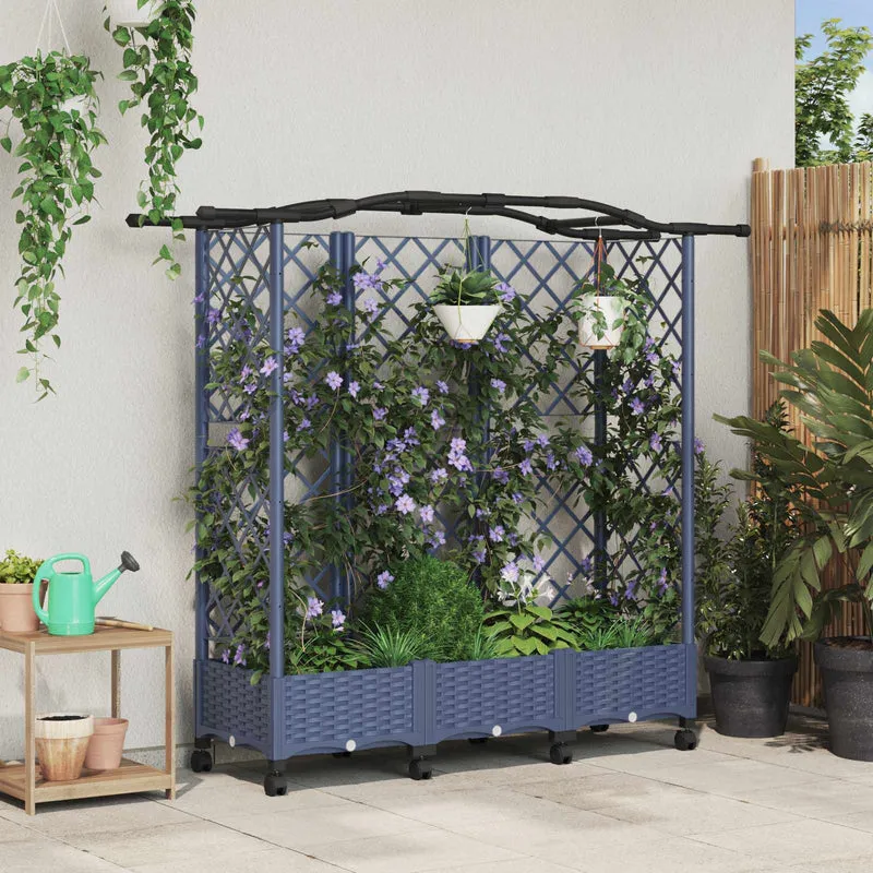 Cama Elevada Con Trellis Y Techo Gris 163 X 40 X 129 Cm Pp
