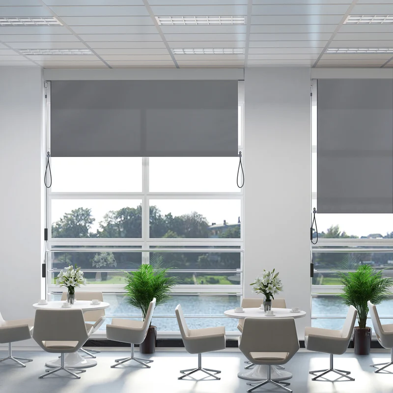Outsunny Toldo Vertical Enrollable con Manivela Protección UV para Interior y Exterior Balcón Porche Terraza 140x250 cm Gris