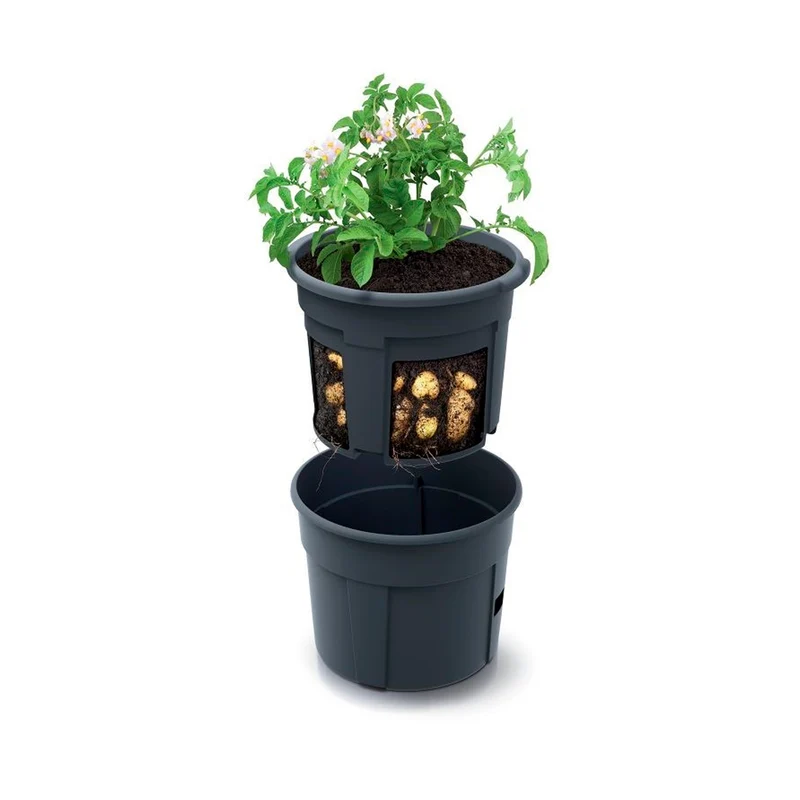 Macetero Para Cultivo De Patatas Prosperplast Potato Grower De Plastico En Color Antracita 39,2 (largo) X 39,2 (ancho) X 31,6 (alto) Cm