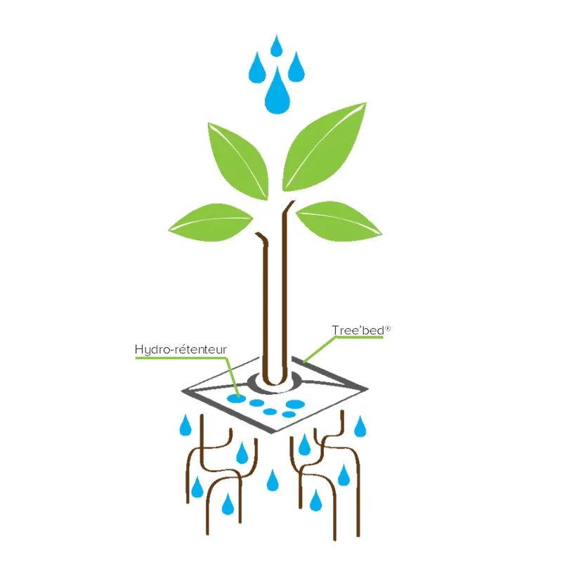Cojín De Riego Para Plantas Tree’bed 300