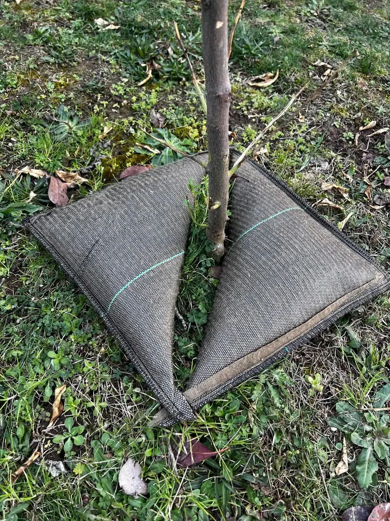 Cojín De Riego Tree’bed 700