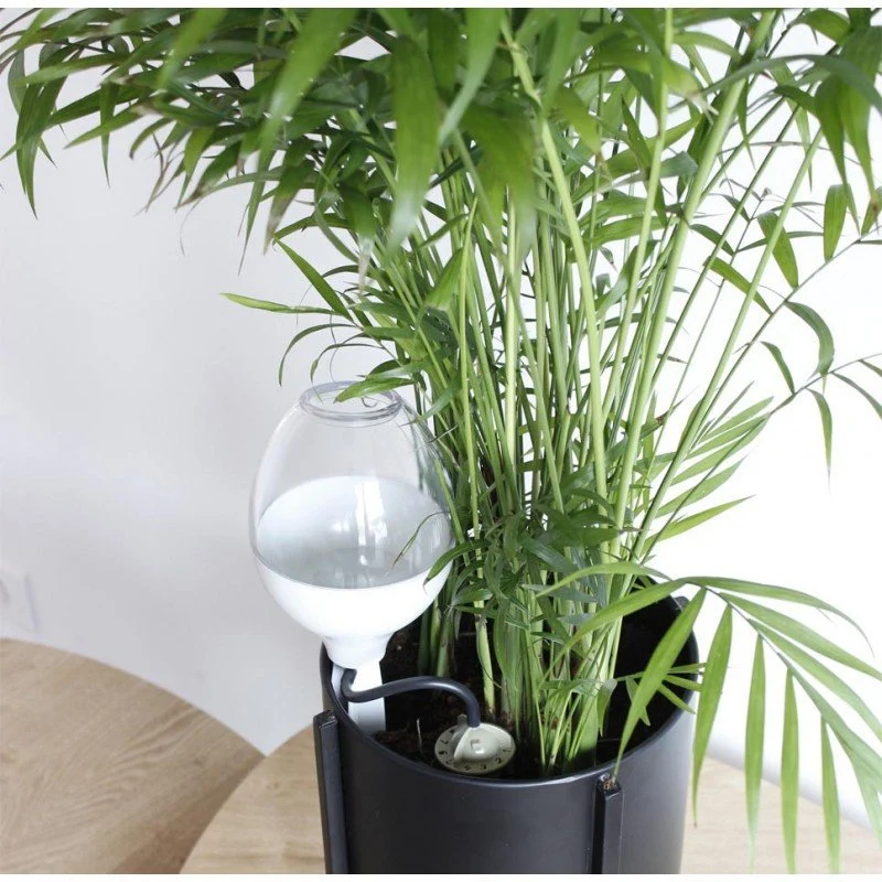 Riego Por Goteo Para Plantas Iriso Con Depósito – Blanco