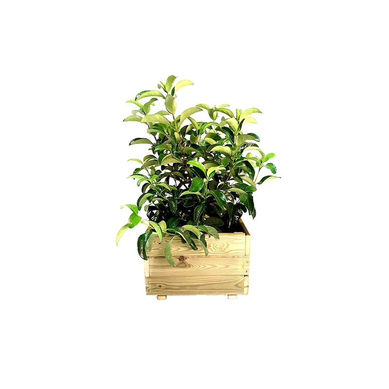 Jardinera Cuadrada De Madera Tratada 60x60x40 Cm Pun Hortalia