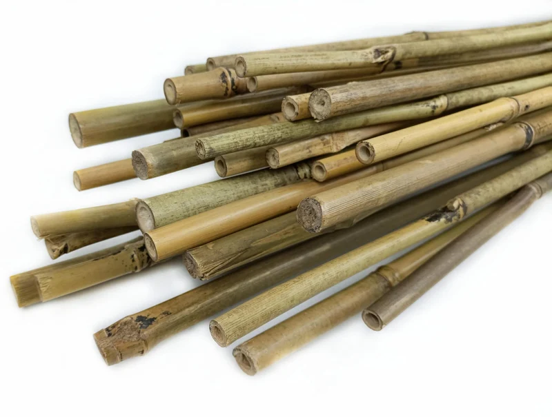 Tutor De Bambú Pack 30 Unidades Cultivers 0,21 M