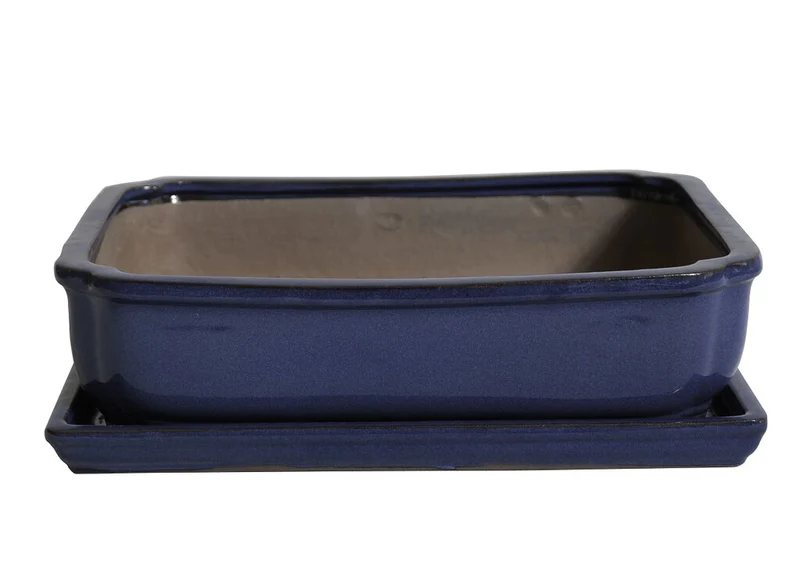 Tiesto Laxe Azul Con Plato 27x21x8cm