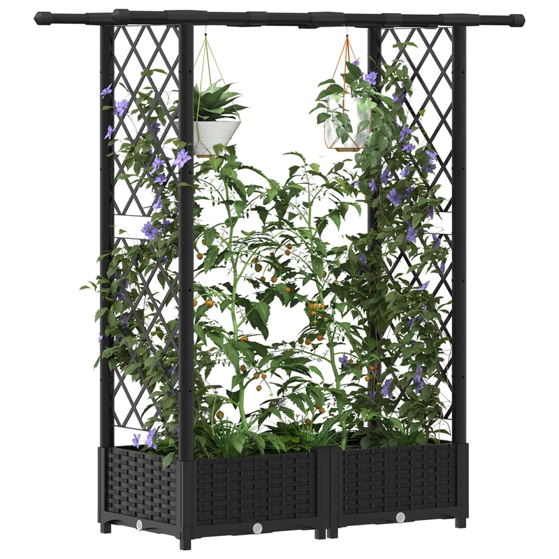 Cama Elevada Con Trellis Y Techo Negro 122,5 X 40 X 121 Cm Pp